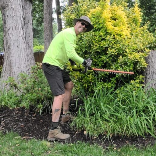 Scott Ellis trimming shrubs